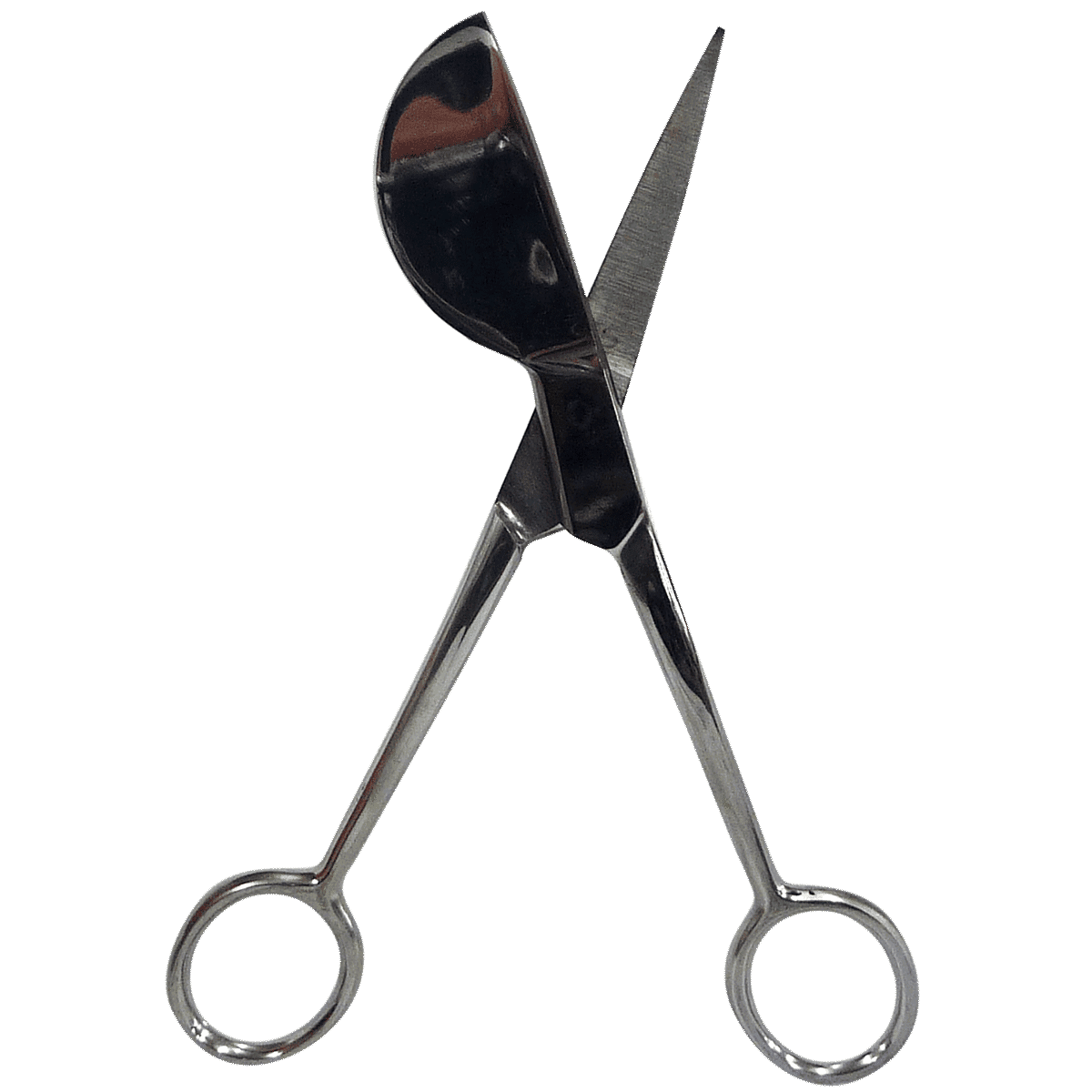 Applique Scissors, Steel Chrome - View 2