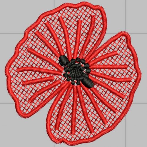 November poppy